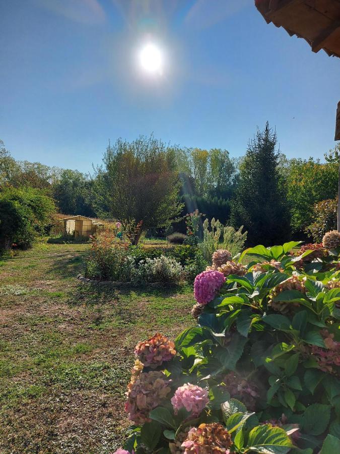 Hotel Le Moulin De L'Etang Chaneins Esterno foto