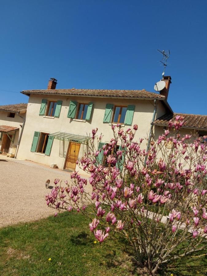 Hotel Le Moulin De L'Etang Chaneins Esterno foto